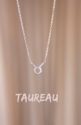 Collier ASTRO taureau argenté